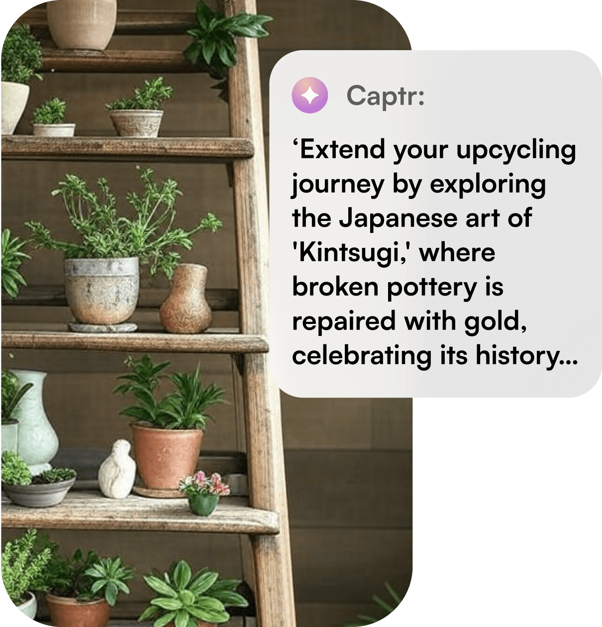 Pottery and plants arrangement